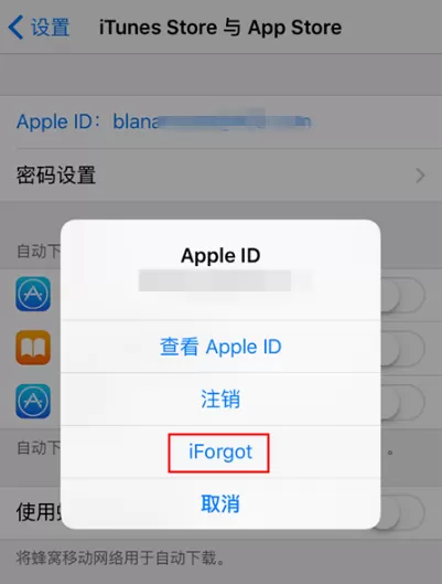 苹果应用商店官方正版