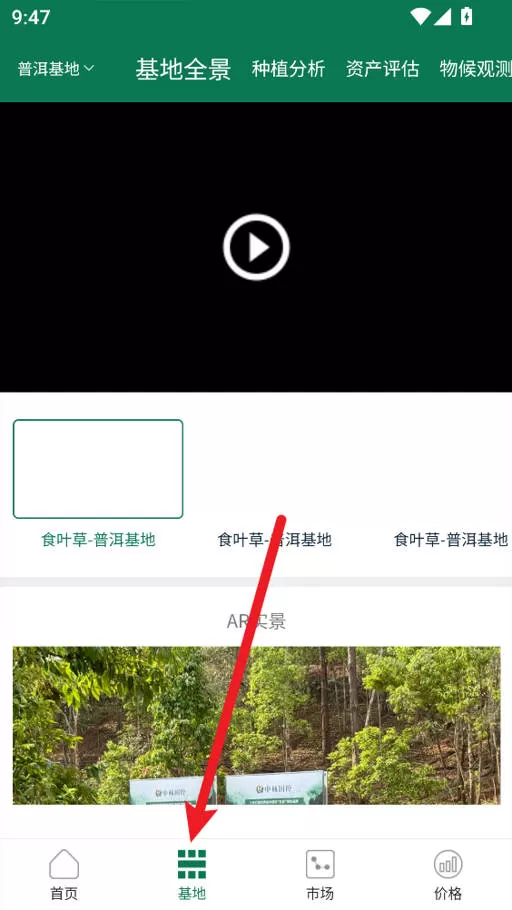 嘉药师