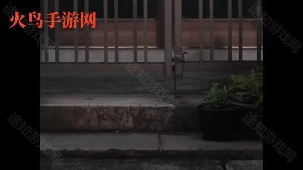 翌日猫之怪奇谭