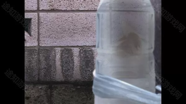 翌日猫之怪奇谭