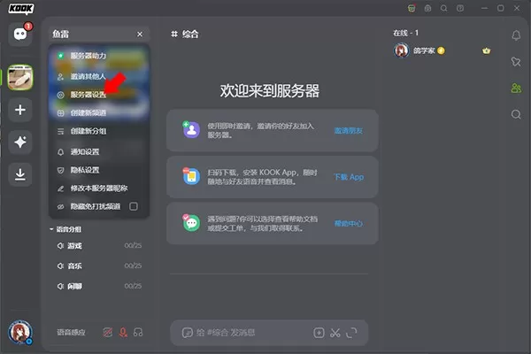kook电脑版