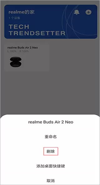 realme link