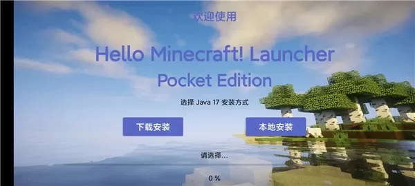 hmclpe启动器