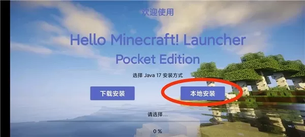 hmclpe启动器