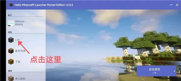 hmclpe启动器