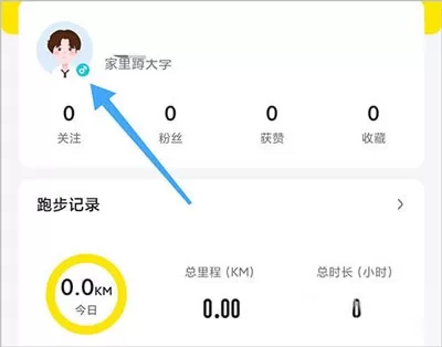 小步点