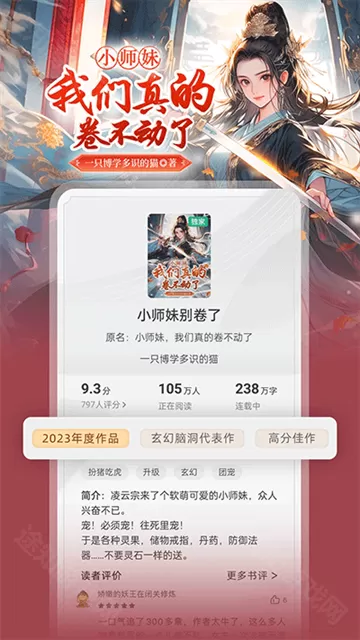 书旗小说应用