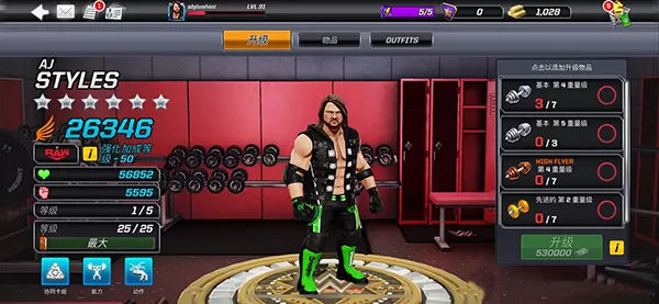 美国职业摔跤游戏WWE