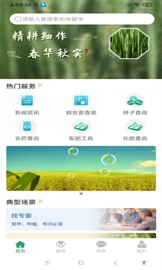知稻app