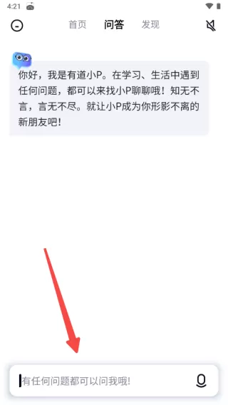 有道小P