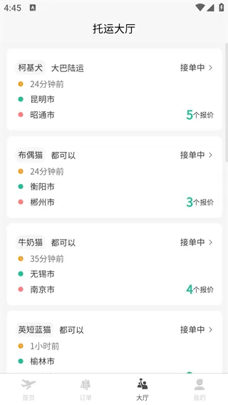 宠贝贝宠物托运