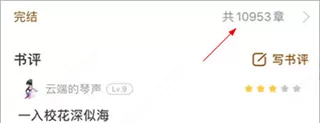 饭团追书