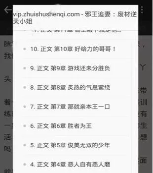 饭团追书