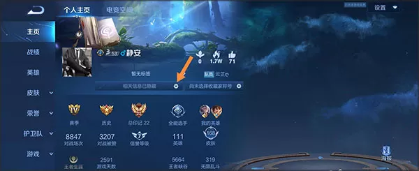 王者荣耀土耳其服