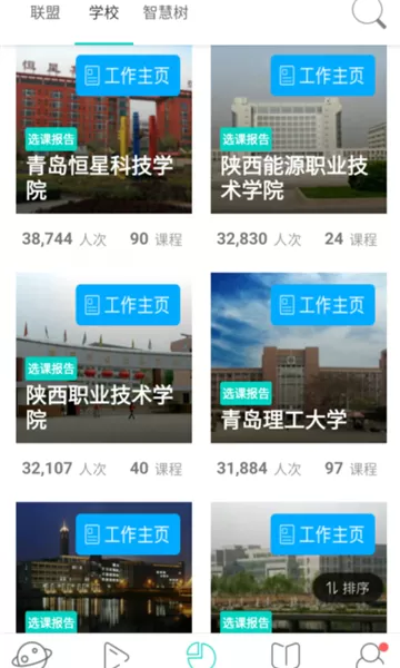 智慧树树下