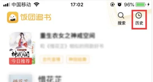 饭团追书