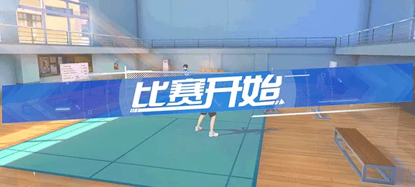 飞羽青春官方版