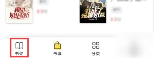 饭团追书
