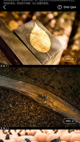 滤镜君LR图片视频滤镜调色大师