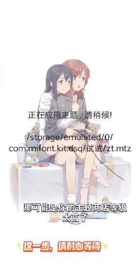 小米主题安装器国际版