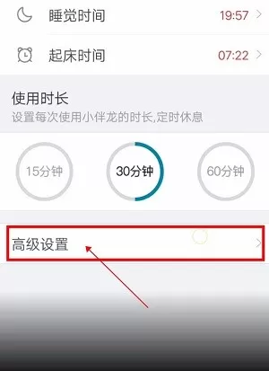 小伴龙