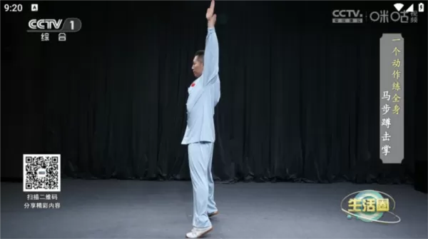 极简TV电视版