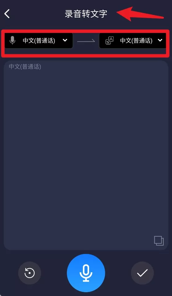 九崖语音翻译