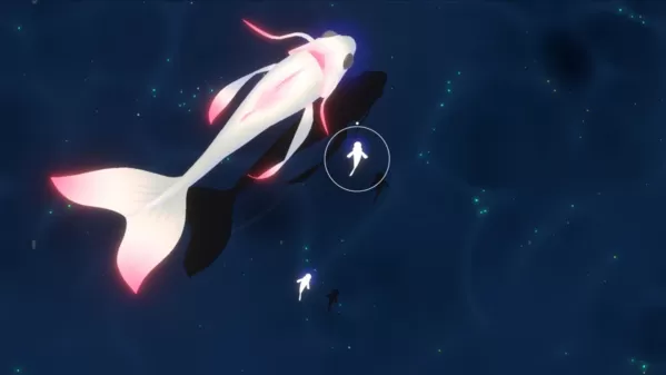 鲤重制版