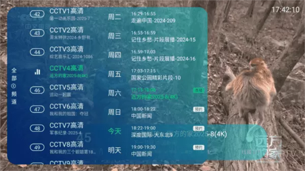 萍萍TV