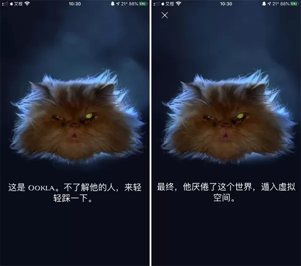 ookla speedtest测速