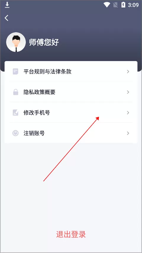 T3车主