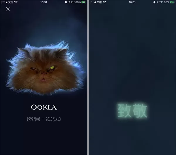 ookla speedtest测速