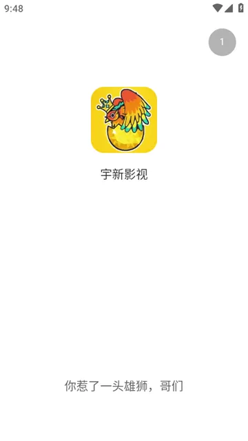 宇新影视
