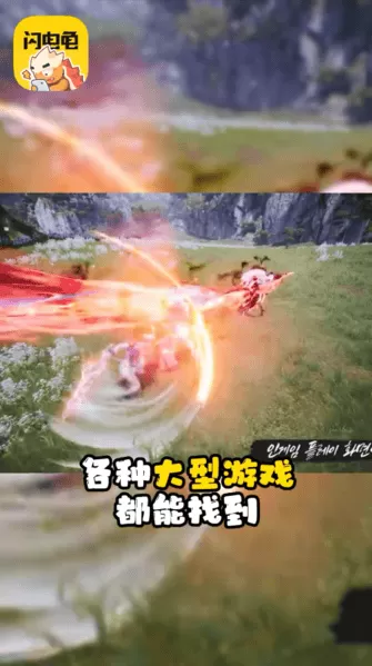 闪电龟正版