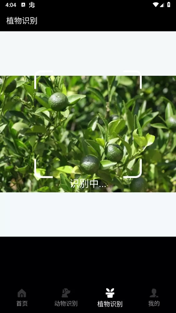动物百科官方版