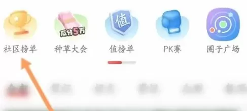 张大妈