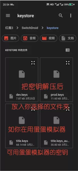 天际线安卓switch模拟器