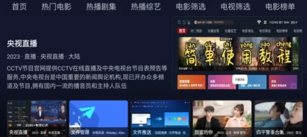 火影TV电视版