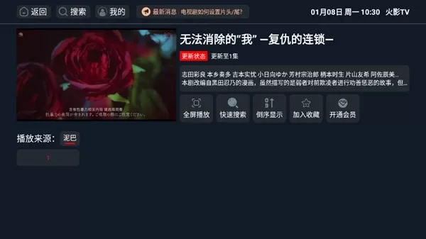 火影TV电视版