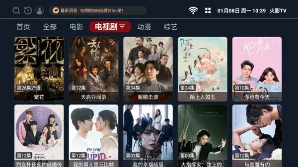 火影TV电视版