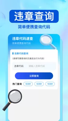 驾驶违章帮手