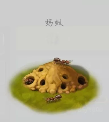 蘑菇战争2