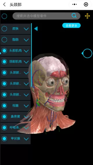 医维度3d人体解剖