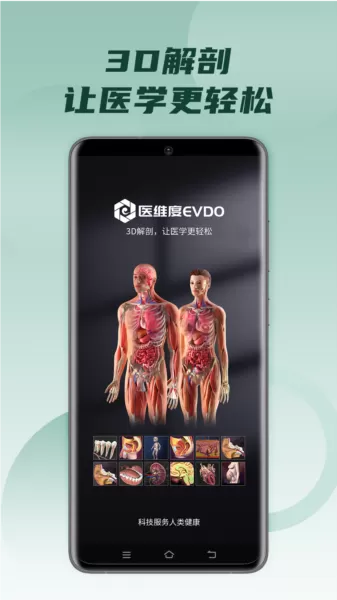 医维度3d人体解剖