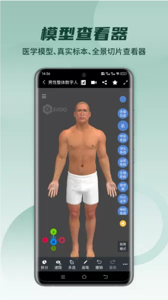 医维度3d人体解剖