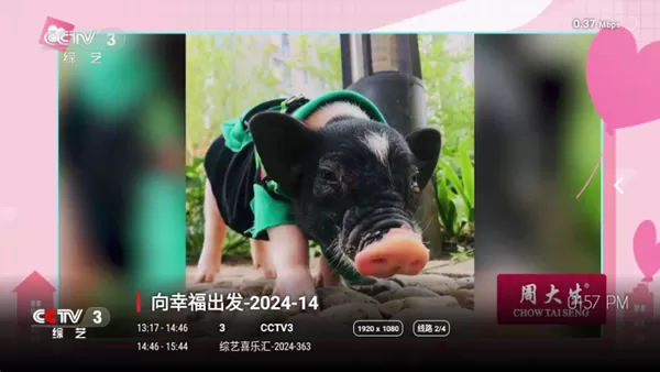 极速电视TV版