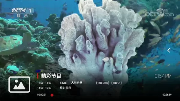 极速电视TV版