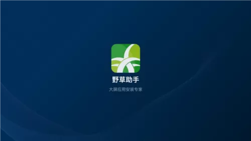 野草助手软件TV版