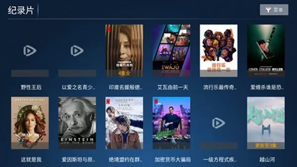 胜越TVpro电视版
