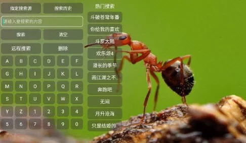 小蚂蚁多仓影视官方正版